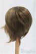 画像2: 9inch/ウィッグ/インチ　BJD　MJD　ドール用 I-25-10-19-071-KD-ZI (2)