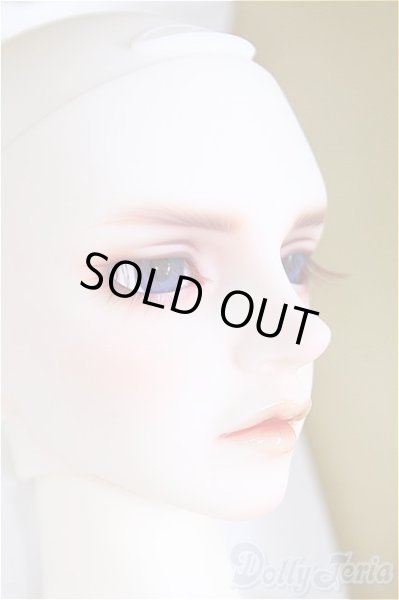 画像2: SDGr男の子/Williams〜The Diligent Scholar/BJD　球体関節人形 I-25-10-12-158-KD-ZI (2)
