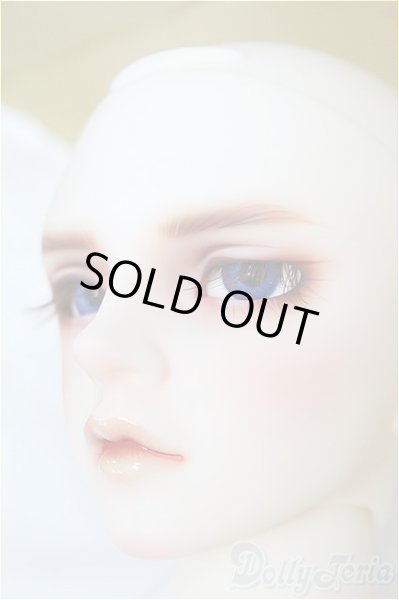 画像3: SDGr男の子/Williams〜The Diligent Scholar/BJD　球体関節人形 I-25-10-12-158-KD-ZI (3)