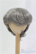 画像1: 8-9inch/ウィッグ/インチ　BJD　MJD　ドール用 I-25-10-26-016-KD-ZI (1)