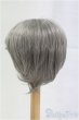 画像2: 8-9inch/ウィッグ/インチ　BJD　MJD　ドール用 I-25-10-26-016-KD-ZI (2)