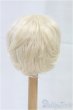 画像2: 8-9inch/ウィッグ/インチ BJD MJD ドール用 I-25-10-26-014-KD-ZI (2)