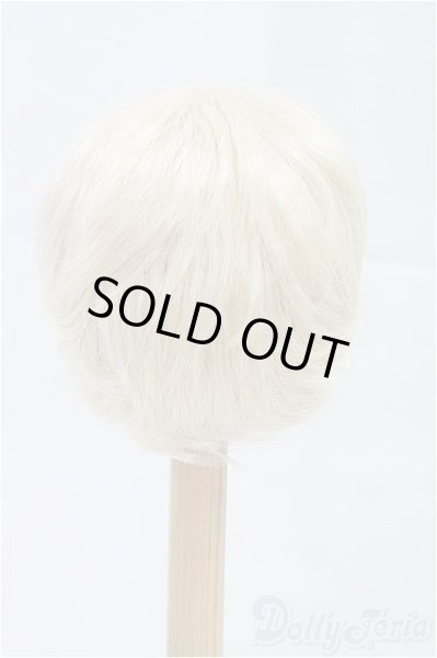 画像2: 8-9inch/ウィッグ/インチ　BJD　MJD　ドール用 I-25-10-26-014-KD-ZI (2)