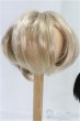 画像3: 8-9inch/ウィッグ/インチ BJD MJD ドール用 I-25-10-26-012-KD-ZI (3)