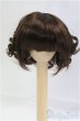 画像1: 6-7inch/ウィッグ/インチ BJD MJD ドール用 I-25-10-26-025-KD-ZI (1)