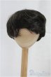 画像1: 8-9inch/ウィッグ/インチ　BJD　MJD　ドール用 I-25-10-26-029-KD-ZI (1)