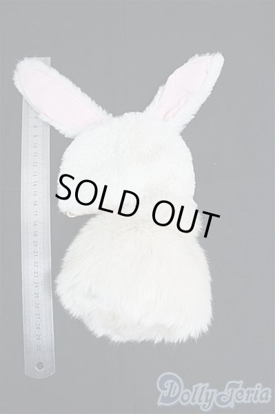 画像2: SDM＆MSD/OF:衣装セット　VOLKS製/1/4　40ｃｍ　BJD　MJD　衣装　ドール用 I-25-10-26-045-KD-ZI (2)