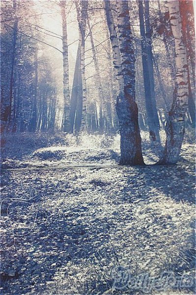 画像4: SD/OF:小物/1/3 60cm BJD MJD 衣装 ドール用 I-25-10-26-040-KD-ZI (4)