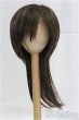 画像1: 9-10inch/ウィッグ/インチ　BJD　MJD　ドール用 I-25-10-26-284-KD-ZI (1)
