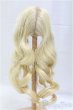 画像2: 9-10inch/ウィッグ/インチ　BJD　MJD　ドール用 I-25-11-02-052-KD-ZI (2)