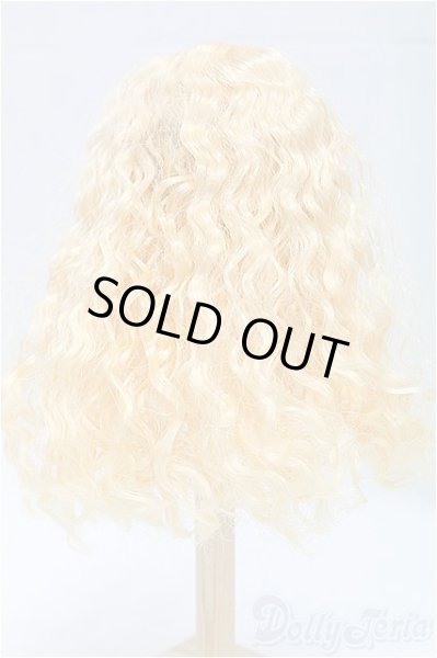 画像2: 6-7inch/ウィッグ/インチ　BJD　MJD　ドール用 I-25-11-02-060-KD-ZI (2)