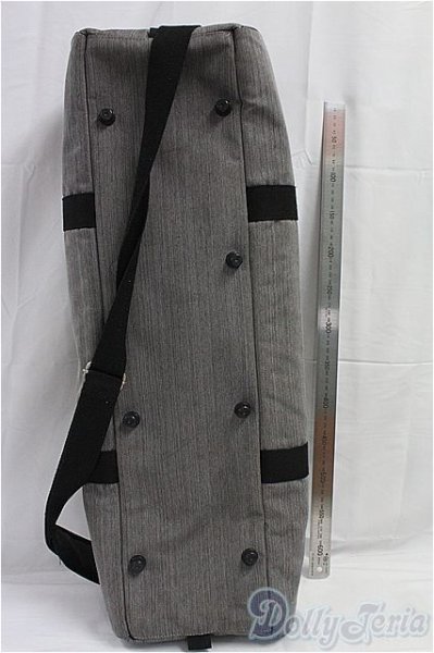 画像2: SD/ドルフィー用キャリングケース/0 I-25-10-26-303-KD-ZI (2)
