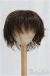 画像1: 9-10inch/ウィッグ/インチ　BJD　MJD　ドール用 I-25-11-02-078-KD-ZI (1)