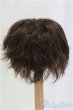 画像2: 9-10inch/ウィッグ/インチ　BJD　MJD　ドール用 I-25-11-02-078-KD-ZI (2)