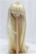 画像1: 9-10inch/ウィッグ/インチ　BJD　MJD　ドール用 I-25-11-02-082-KD-ZI (1)