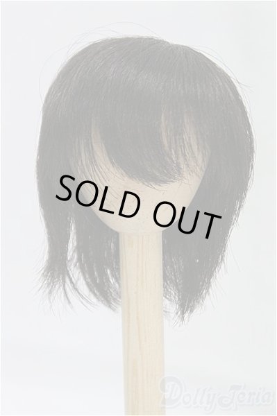 画像1: 6-7inch/ウィッグ/インチ　BJD　MJD　ドール用 I-25-11-02-088-KD-ZI (1)