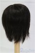 画像2: 6-7inch/ウィッグ/インチ　BJD　MJD　ドール用 I-25-11-02-088-KD-ZI (2)