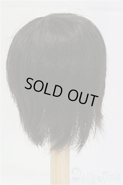 画像2: 6-7inch/ウィッグ/インチ　BJD　MJD　ドール用 I-25-11-02-088-KD-ZI (2)