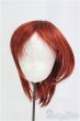 画像1: 8-8.5inch/ウィッグ/インチ　BJD　MJD　ドール用 I-25-11-02-133-KD-ZI (1)