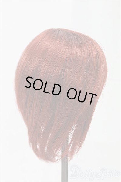 画像2: 8-8.5inch/ウィッグ/インチ　BJD　MJD　ドール用 I-25-11-02-133-KD-ZI (2)