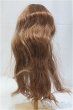 画像2: 8-9inch/ウィッグ/インチ　BJD　MJD　ドール用 I-25-11-02-089-KD-ZI (2)