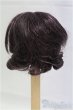 画像2: 6-7inch/ウィッグ/インチ　BJD　MJD　ドール用 I-25-11-02-096-KD-ZI (2)