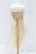 画像1: 9-10inch/ウィッグ/インチ　BJD　MJD　ドール用 I-25-11-23-021-KD-ZI (1)