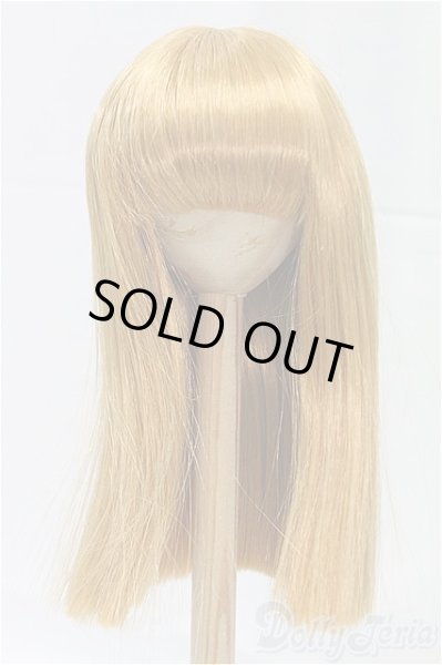 画像1: 9-10inch/ウィッグ/インチ　BJD　MJD　ドール用 I-25-11-23-023-KD-ZI (1)