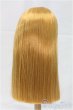 画像2: 9-10inch/ウィッグ/インチ　BJD　MJD　ドール用 I-25-11-23-023-KD-ZI (2)
