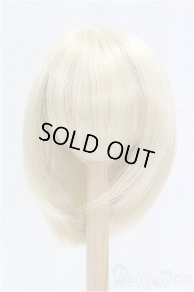 画像1: 9-10inch/ウィッグ/インチ　BJD　MJD　ドール用 I-25-11-23-024-KD-ZI (1)