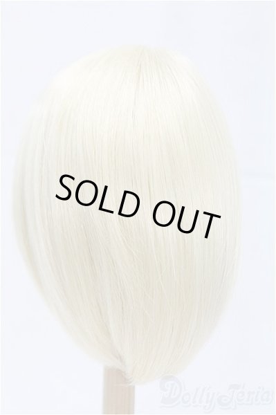 画像2: 9-10inch/ウィッグ/インチ　BJD　MJD　ドール用 I-25-11-23-024-KD-ZI (2)