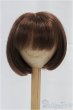 画像1: 9-10inch/ウィッグ/インチ　BJD　MJD　ドール用 I-25-11-23-025-KD-ZI (1)