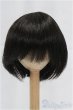 画像1: 9-10inch/ウィッグ/インチ　BJD　MJD　ドール用 I-25-11-23-026-KD-ZI (1)