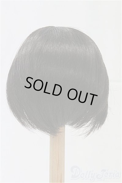 画像2: 9-10inch/ウィッグ/インチ　BJD　MJD　ドール用 I-25-11-23-026-KD-ZI (2)