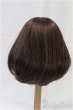 画像2: 9-10inch/ウィッグ/インチ　BJD　MJD　ドール用 I-25-11-23-030-KD-ZI (2)