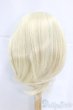 画像2: 9-10inch/ウィッグ/インチ　BJD　MJD　ドール用 I-25-12-21-057-KD-ZI (2)