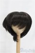 画像1: 9-10inch/ウィッグ I-25-12-07-198-KD-ZI (1)