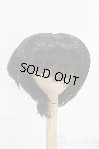 画像1: 9-10inch/ウィッグ I-25-12-07-198-KD-ZI (1)