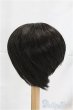 画像2: 9-10inch/ウィッグ I-25-12-07-198-KD-ZI (2)