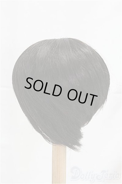 画像2: 9-10inch/ウィッグ I-25-12-07-198-KD-ZI (2)