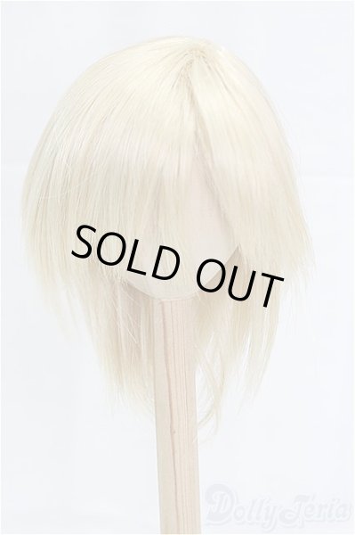 画像1: 9-10inch/ウィッグ I-25-12-07-149-KD-ZI (1)