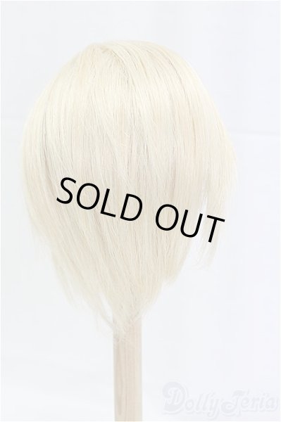 画像2: 9-10inch/ウィッグ I-25-12-07-149-KD-ZI (2)