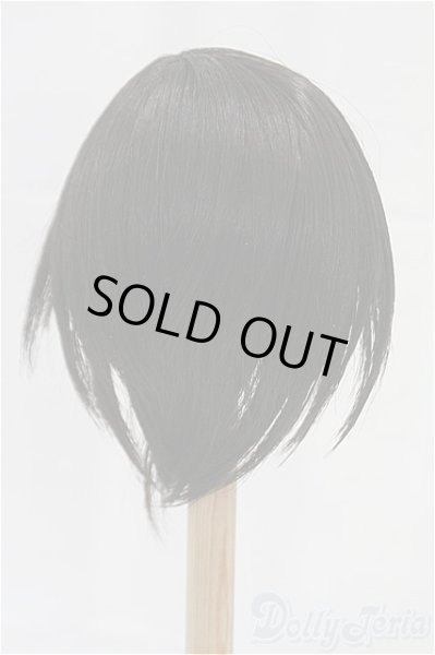 画像2: 9-10inch/ウィッグ I-25-12-07-145-KD-ZI (2)