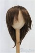 画像1: 9-10inch/ウィッグ/インチ　BJD　MJD　ドール用 I-25-11-02-136-KD-ZI (1)