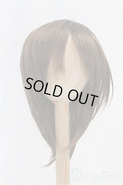 画像1: 9-10inch/ウィッグ/インチ　BJD　MJD　ドール用 I-25-11-02-136-KD-ZI (1)