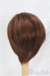 画像2: 7-8inch/ウィッグ/インチ　BJD　MJD　ドール用 I-25-11-02-175-KD-ZI (2)