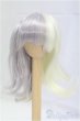 画像1: 7inch/ウィッグ/インチ　BJD　MJD　ドール用 I-25-11-02-057-KD-ZI (1)