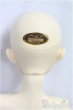 画像4: SDB/ミシェル 星間学寮Ver./BJD　球体関節人形 I-25-11-02-304-KD-ZI (4)