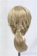 画像2: 8-9inch/ウィッグ　JUSUNS/インチ　BJD　MJD　ドール用 I-25-11-02-267-KD-ZI (2)