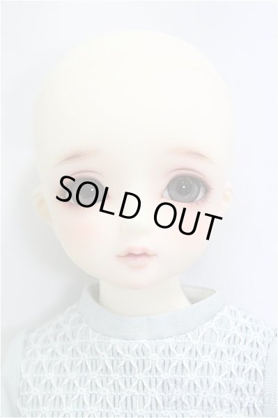 画像2: SDM女の子/コーディネートモデルF-50/BJD　球体関節人形 I-25-11-02-309-KD-ZI (2)